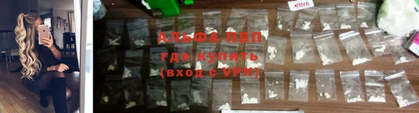 ECSTASY Шали