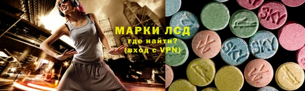 ECSTASY Шали