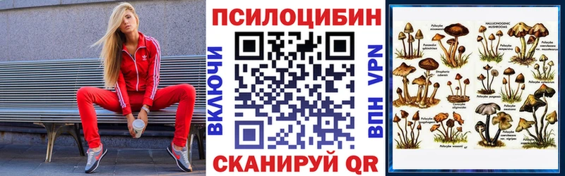 купить  сайты  Новотроицк  Псилоцибиновые грибы Magic Shrooms 